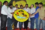 Varusa Naadu Audio Launch