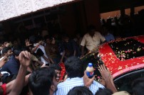 Vedalam Celebrations at Theaters 