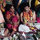 Vidharth Wedding