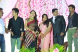 VTV Ganesh's Daughter Wedding Reception 