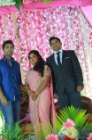 VTV Ganesh's Daughter Wedding Reception 