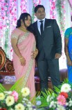 VTV Ganesh's Daughter Wedding Reception 
