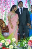 VTV Ganesh's Daughter Wedding Reception 