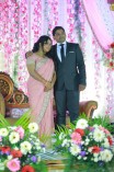 VTV Ganesh's Daughter Wedding Reception 