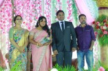 VTV Ganesh's Daughter Wedding Reception 