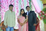 VTV Ganesh's Daughter Wedding Reception 