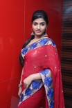 Ya Ya Audio Launch