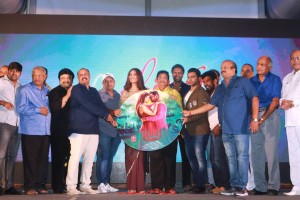 Yaar Ivan Audio Launch