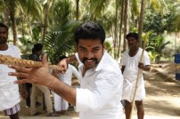 Mapla Singam (aka) Mappillai Singam