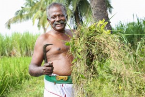 Nedunalvadai (aka) Nedunalvadai Movie