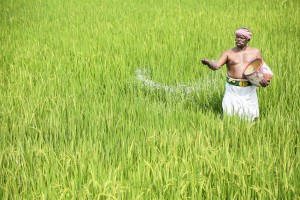 Nedunalvadai (aka) Nedunalvadai Movie