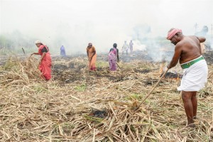 Nedunalvadai (aka) Nedunalvadai Movie
