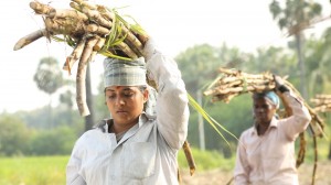 Nedunalvadai (aka) Nedunalvadai Movie