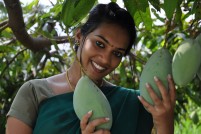 Nenjukkulla Nee Nirainchirukka (aka) 