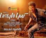 Paayum Puli (aka) Payum puli