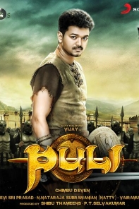 Puli