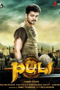 Puli