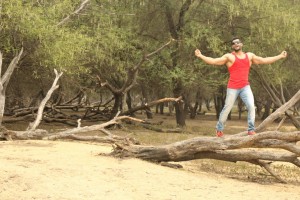 Rajavin Parvai Raniyin Pakkam (aka) Rajavin ParvaiRaniyinPakkam