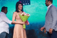 Sabash Naidu (aka) Sabhash Naidu