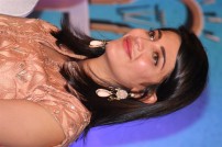 Sabash Naidu (aka) Sabhash Naidu