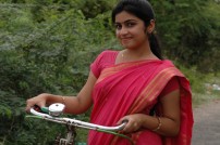 Sandi Kuthirai (aka) Sandikuthirai