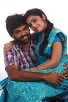 Sandi Kuthirai (aka) Sandikuthirai