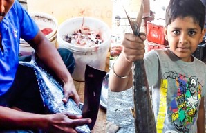 SEER FISH: Fast & easy ways to clean and cut Vanjaram