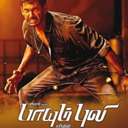 Paayum Puli