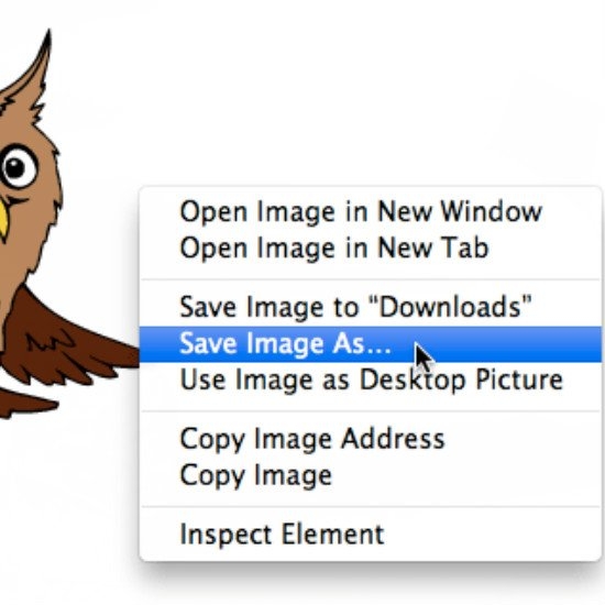 Saving Images Found Online