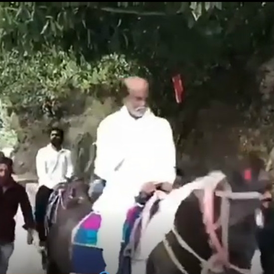 A Pleasant Horse Ride