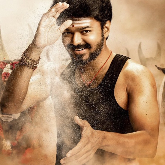 Jalikattu references