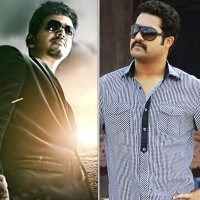 Vijay - Jr.NTR