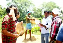 Thaarai Thappattai (aka) Thaarai Thappattai