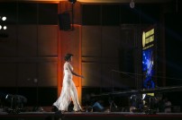 Behindwoods Gold Medals 2017 - The Awarding Set 4