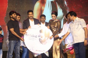 Goutham Nanda Audio Launch