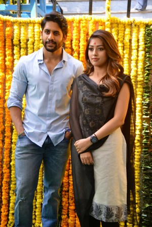 Naga Chaitanya New Movie Launch