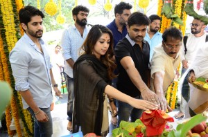Naga Chaitanya New Movie Launch