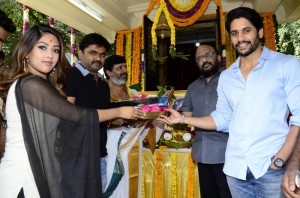 Naga Chaitanya New Movie Launch