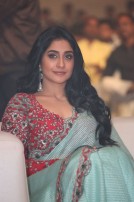 Nakshatram Audio Launch