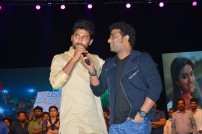 Nenu Local Audio Launch