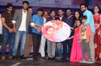  Okka Ammayi Thappa Audio Launch
