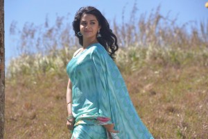 Nenu Local (aka) Nennu Local