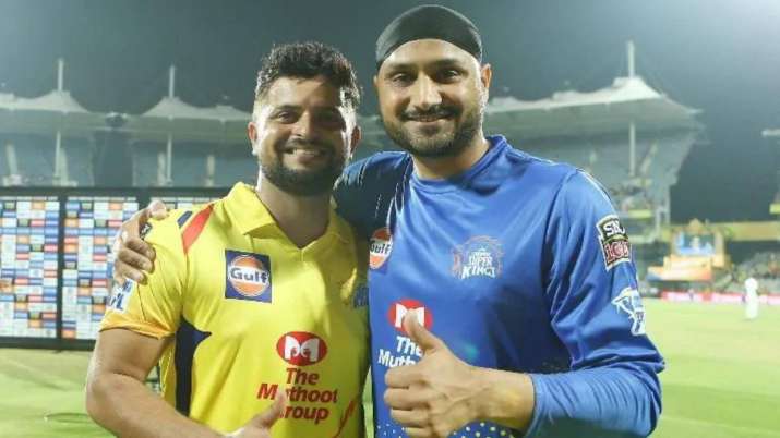 csk ceo shares update on sureshraina harbhajansingh future in csk