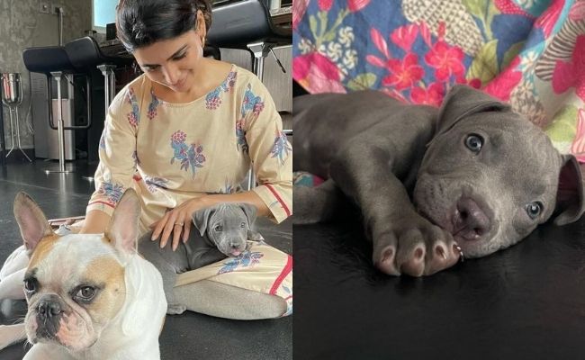 Wow! What a rare picture!! Samantha and three top heroines come together to storm the internet