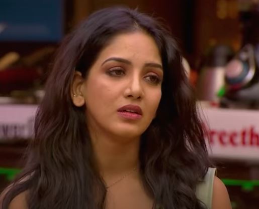 pavani accept her mistake to ameer in abhinay issue biggboss