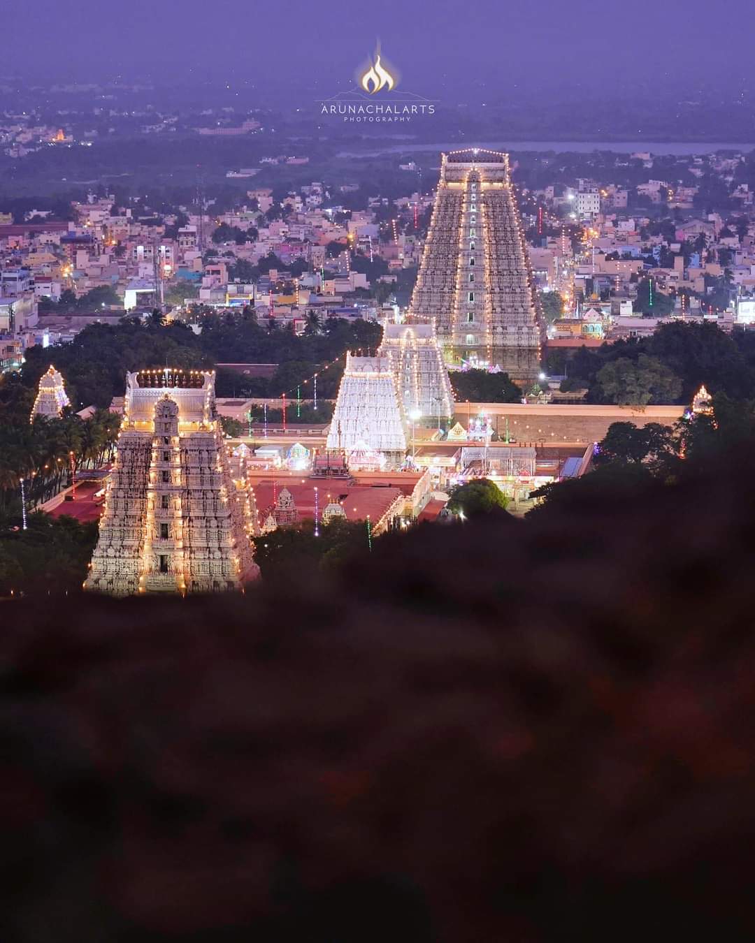Director Aishwarya Rajinikanth visit Thiruvannamalai Temple