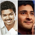vijay-and-mahesh-babu-movies-kickstart-with-santhosh-narayanan-and-harris-jayaraj-respectively-photos-pictures-stills Two mass heroes, two musical contemporaries