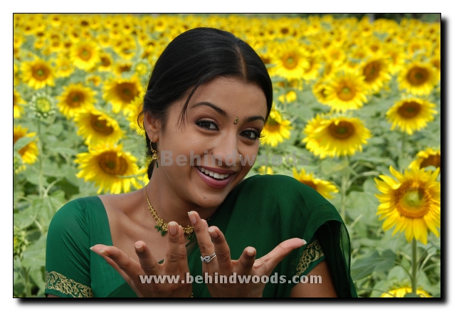 Something Something Movie Galley