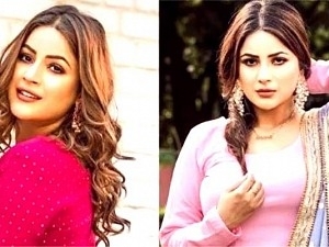 Bigg Boss actress's father booked for rape; CCTV camera proofs awaited!