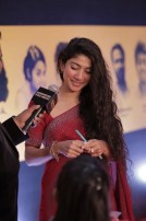 Behindwoods Gold Medals 2017 - The Red Carpet Set 2